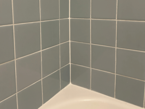 Restored grout lines in tile shower
